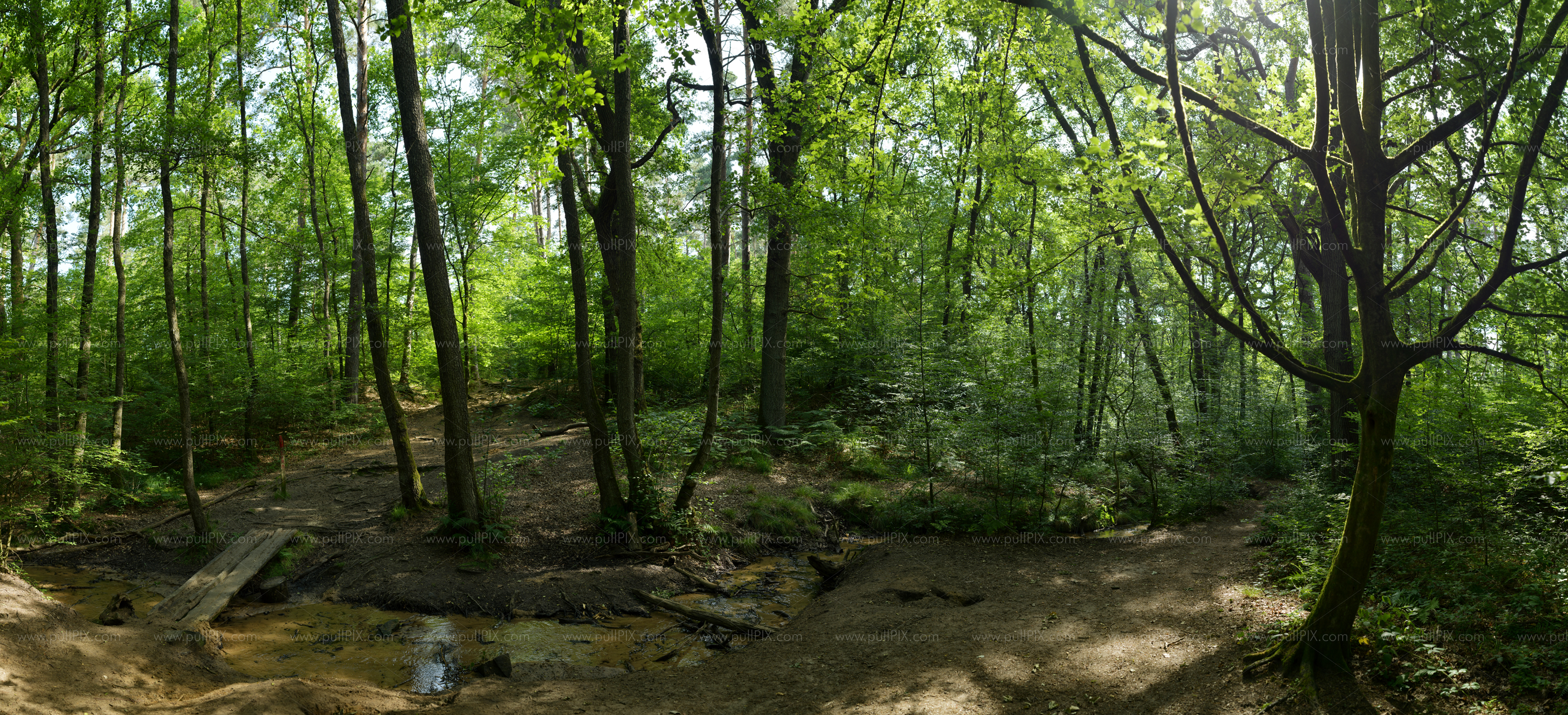 Preview waldbach mit holzbruecke.jpg